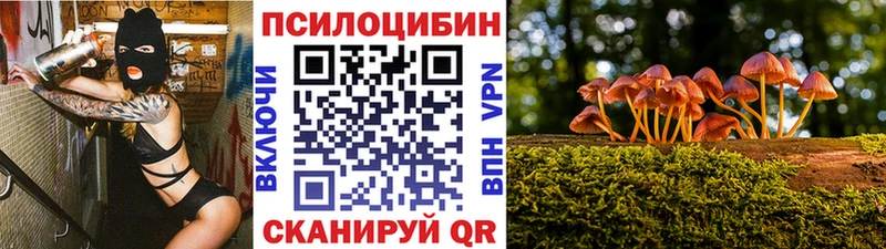 Псилоцибиновые грибы прущие грибы  Выкса 