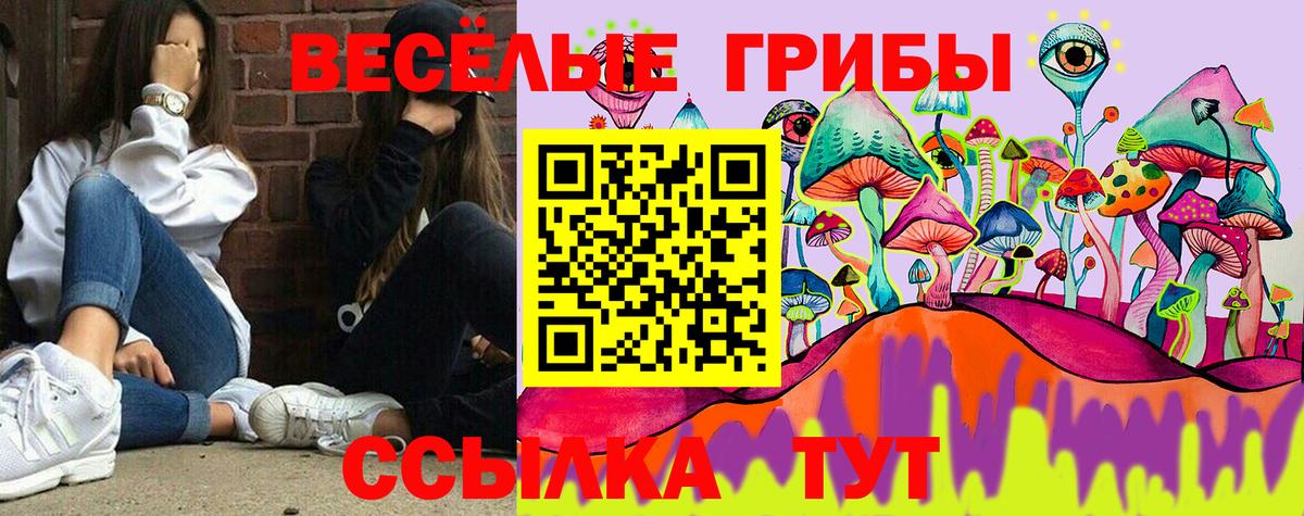 Псилоцибиновые грибы MAGIC MUSHROOMS  Псилоцибиновые грибы Psilocybe  Выкса 