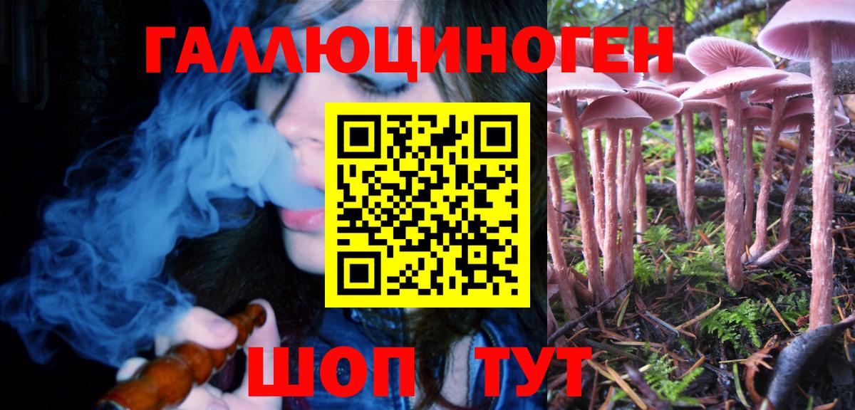 Псилоцибиновые грибы Psilocybine cubensis Выкса