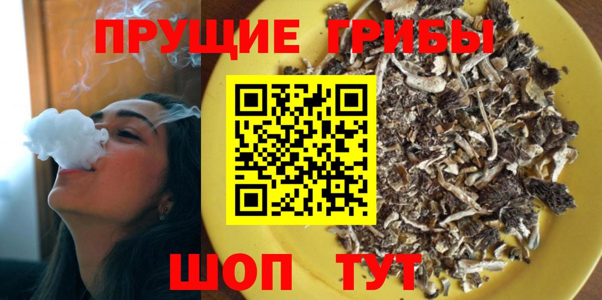 Галлюциногенные грибы Psilocybine cubensis  Псилоцибиновые грибы Psilocybine cubensis  Выкса  Вход с VPN 