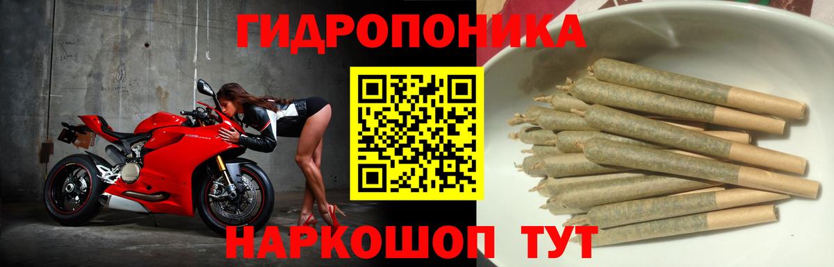 Конопля индика  Канабис план  Выкса  Канабис SATIVA & INDICA  Вход с VPN 